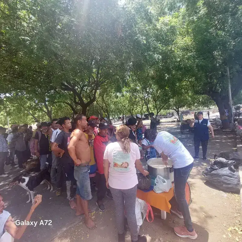 Actividad Ecológica